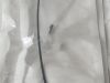COOK MEDICAL Flexor Check-Flo Introducer G29981   Exp.2023-06  (T28)   G29981 Flexor Check-Flo Introducer