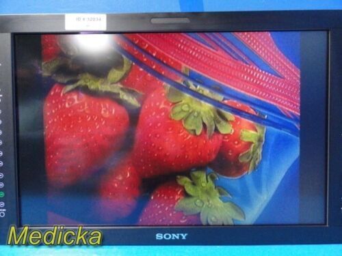 SONY 2013 Olympus  LMD-2451MT 24&quot; 3D HD LCD Display Monitor