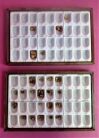 UNITEK Molar & Bicuspid Aluminum Gold Crown 65 pc  Dental Molar   Bicuspid Gold Aluminum Preformed Permanent Crown