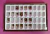 UNITEK Molar & Bicuspid Aluminum Gold Crown 65 pc  Dental Molar   Bicuspid Gold Aluminum Preformed Permanent Crown