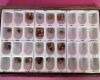 UNITEK Molar & Bicuspid Aluminum Gold Crown 65 pc  Dental Molar   Bicuspid Gold Aluminum Preformed Permanent Crown