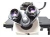 NIKON Eclipse Ti-U Microscope