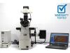 NIKON Eclipse Ti-U Microscope