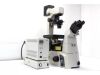 NIKON Eclipse Ti-U Microscope