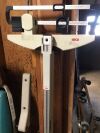 SECA  Scale