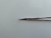 JARIT 449-310 Schnidt Forceps, Rings Closed, Half Curved, 7 1/2",