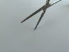 AESCULAP Rochester-Pean Forceps, STR, 6 1/4in BH442R