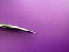 DUMONT Forceps S T  18cm JF-18 Straight Tip Swiss Made