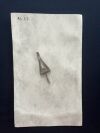 SKLAR 22-9027 Self-Retaining Retractor,