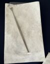 AESCULAP BT184R Cushing Vein Retractor, 8",