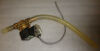 SOLENOID Microm Cryostat