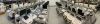 GE T9 Ultrasound System