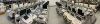 GE C1-6D Ultrasound Transducer
