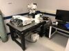 ZEISS LSM880 Confocal + Airyscan Microscope