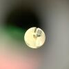 OLYMPUS BF-P60 Bronchoscope