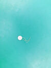 PHILIPS M1356A M2736A M1356A M2736A Transducer Probe Ultrasound Crystal 1.0M HZ  Fetal Monitor