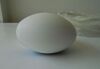 GE RAB2-5-RS Ultrasound Transducer