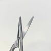 STORZ ( N5060 ) ENT Cottle Dorsal Scissors, 52mm Mid Screw to Tip, 6.3" Length