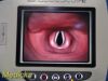 VERATHON Glidescope 0570-0338 AVL,W/ VIDEO Cable, ERGO Stand & PSU~ Monitor