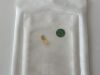 IOP OPHTHALMICS Labtician Lid Load  SGP12   Exp.2023-01   (K21)   SGP12 Labtician Lid Load