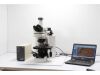 NIKON Eclipse 80i Microscope