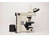 NIKON Eclipse 80i Microscope