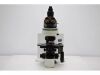 OLYMPUS BX51 Microscope