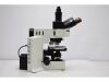 OLYMPUS BX51 Microscope