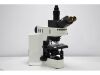 OLYMPUS BX51 Microscope