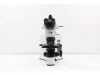 OLYMPUS BX51 Microscope