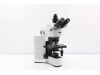 OLYMPUS BX51 Microscope