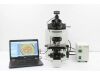 OLYMPUS BX60 Microscope