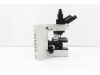 OLYMPUS BX60 Microscope