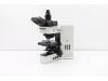 OLYMPUS BX60 Microscope