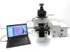 OLYMPUS BX61 Microscope