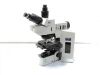 OLYMPUS BX61 Microscope