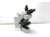 OLYMPUS BX61 Microscope