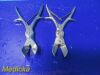 ZIMMER 2X  3411 Stille-Liston Bone Cutting Forceps; Forceps