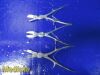 SKLAR 3X  Stille-Liston Bone Cutting Forceps;   Double Action, Straight; 10¾"