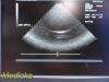 ACUSON 5V2C Vector Array , (Model: 08260629) ~ Ultrasound Transducer