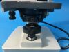 AMERICAN OPTICAL One-Fifty Microscope