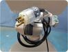 ACUSON/SIEMENS S2000 ABVS  Ultrasound System