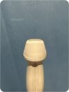 ACUSON/SIEMENS 4V1c Cardiac Ultrasound Transducer