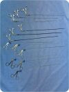 OLYMPUS Surgical    Forceps