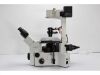 OLYMPUS IX70 Microscope