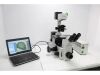 OLYMPUS IX70 Microscope