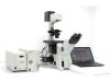 OLYMPUS IX81 Microscope