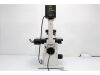 OLYMPUS IX81 Microscope