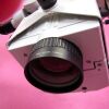 LEICA WILD General Surgery XY Zoom Motorized Microscope Microscope