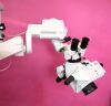 LEICA WILD General Surgery XY Zoom Motorized Microscope Microscope